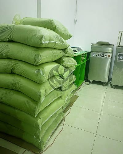 Industriële productie van kratom poeder in Indonesië – efficiënt en hygiënisch proces.