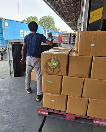 Logistiek magazijn voor kratom export – opslag en distributie vanuit Indonesië.